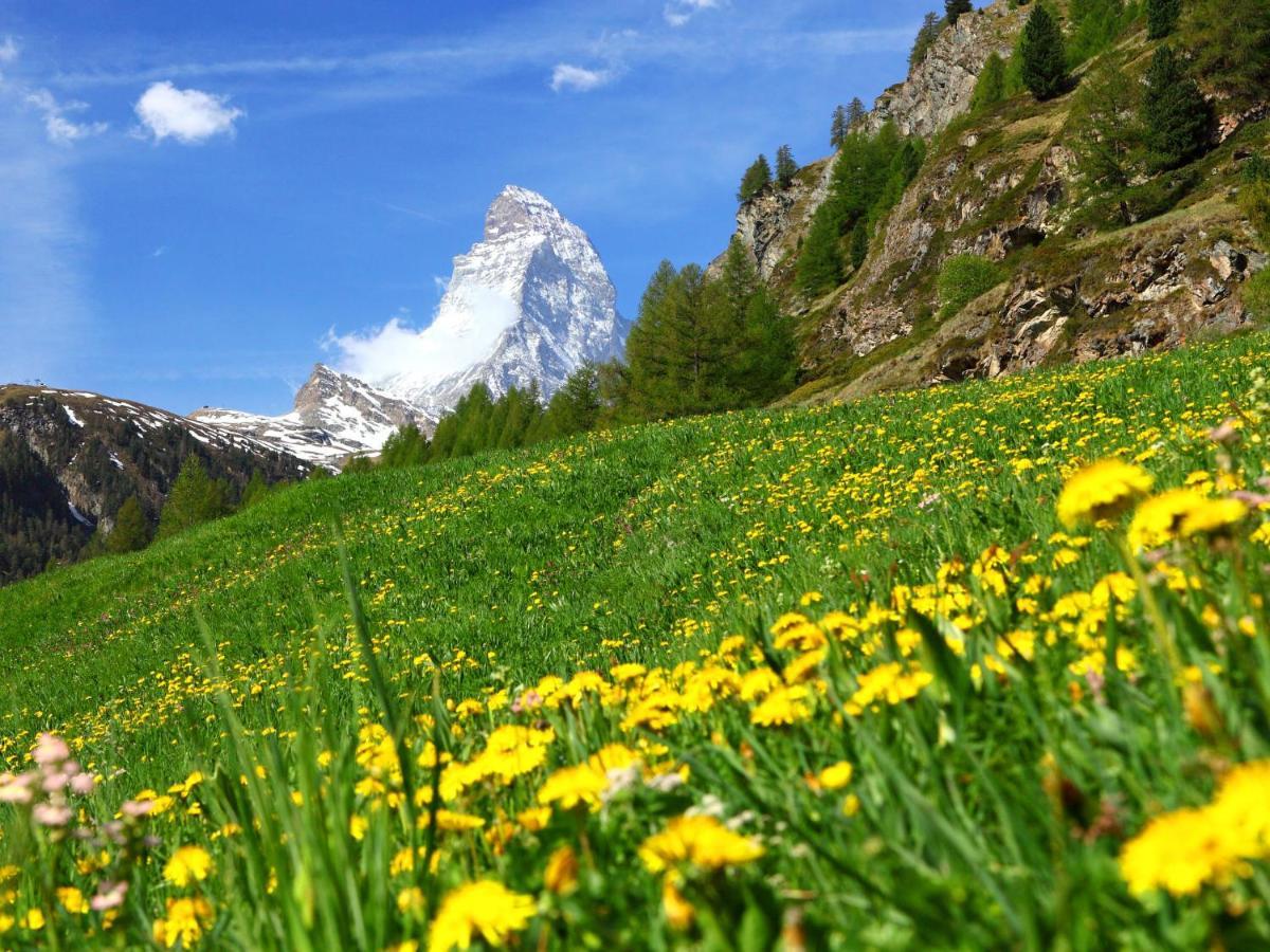 Apartment Monazit By Interhome Zermatt Dış mekan fotoğraf